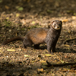 image 903